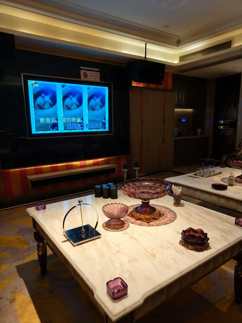 宿迁商务ktv独特商务ktv模式解析-宿豫区ktv预订